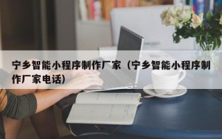 赣州宁乡智能小程序制作厂家（宁乡智能小程序制作厂家电话）